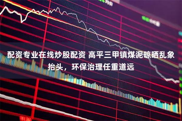 配资专业在线炒股配资 高平三甲镇煤泥晾晒乱象抬头，环保治理任重道远